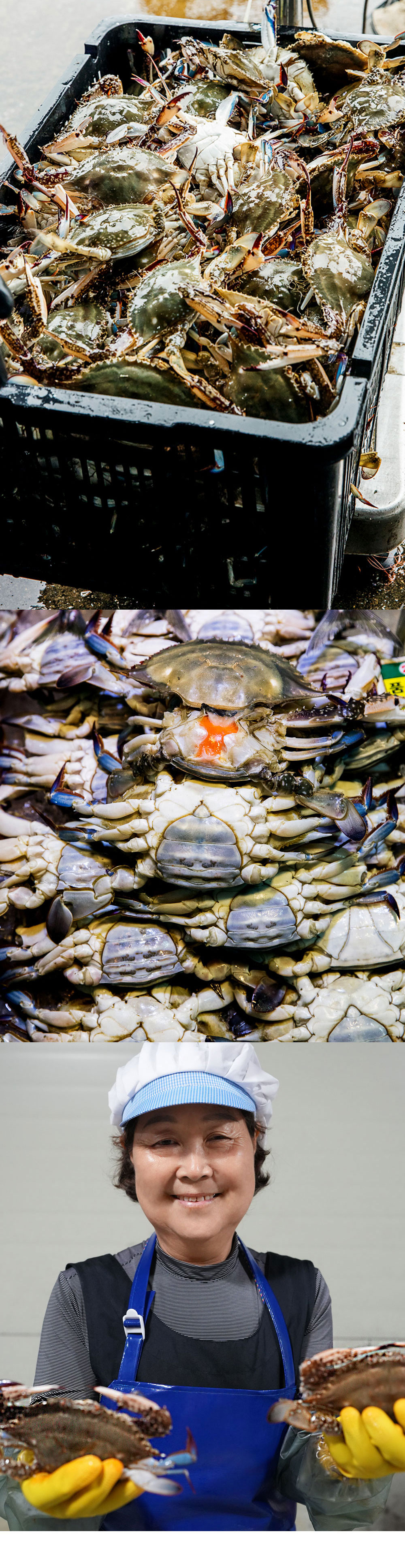 국산 알배기 암꽃게장 간장게장 2kg (4~5미)