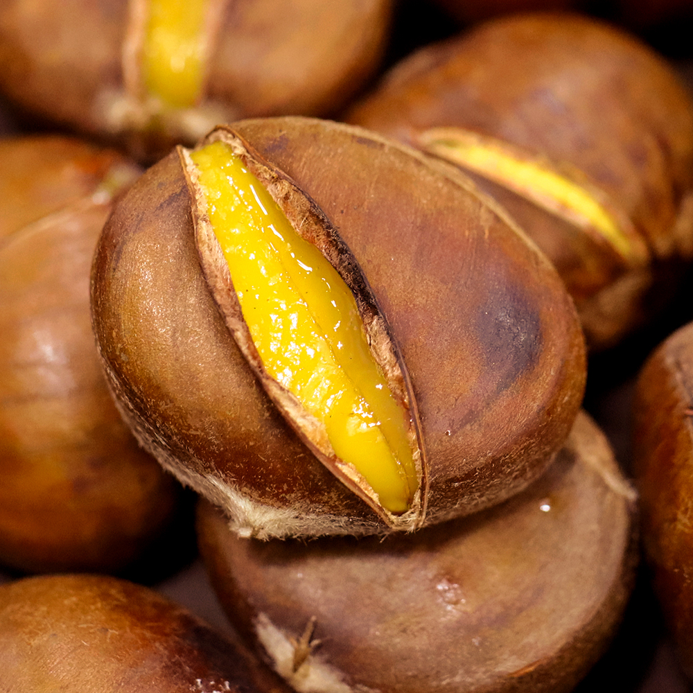 칼집 약단밤 500g/1kg 까먹기 쉬운 밤