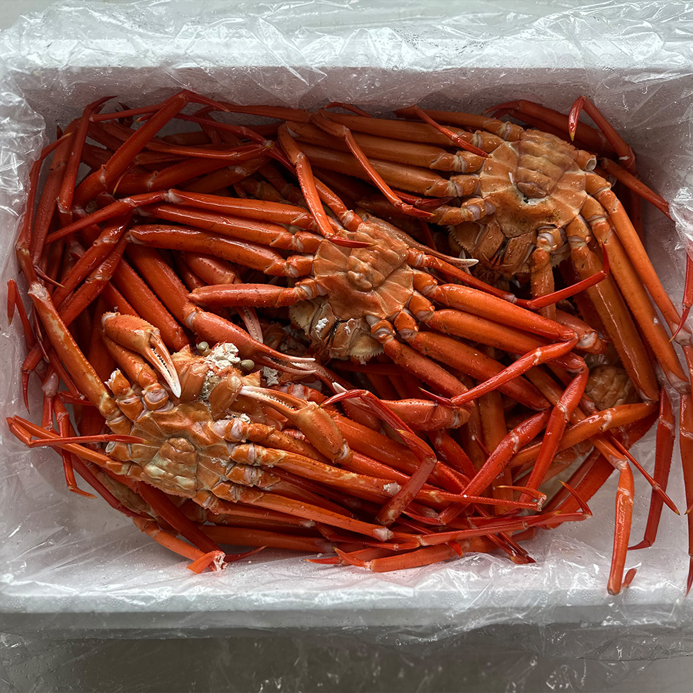 울진 후포리 프리미엄 자숙홍게 3kg내외(8-11미),1.5kg내외(4-6미) ,육수용 3kg