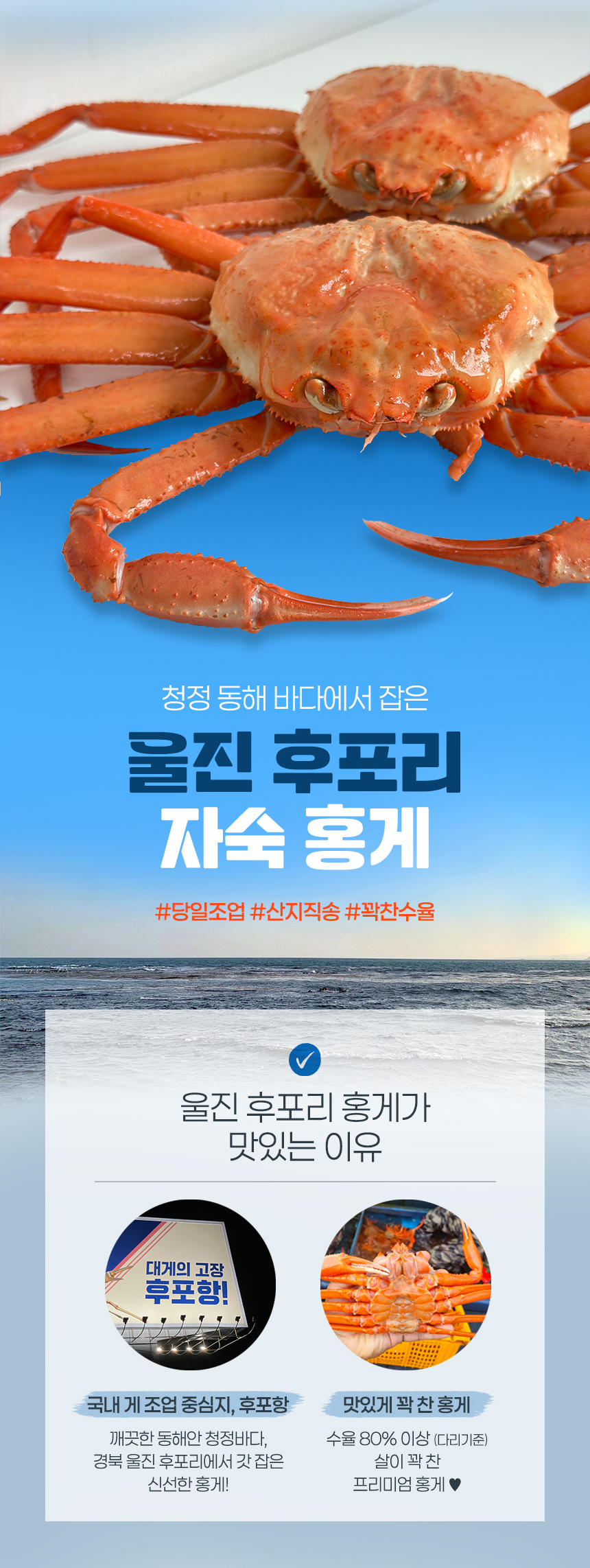  울진 후포리 프리미엄 자숙홍게 3kg내외(8-11미) ,1.5kg내외(4-6미) ,육수용 3kg 