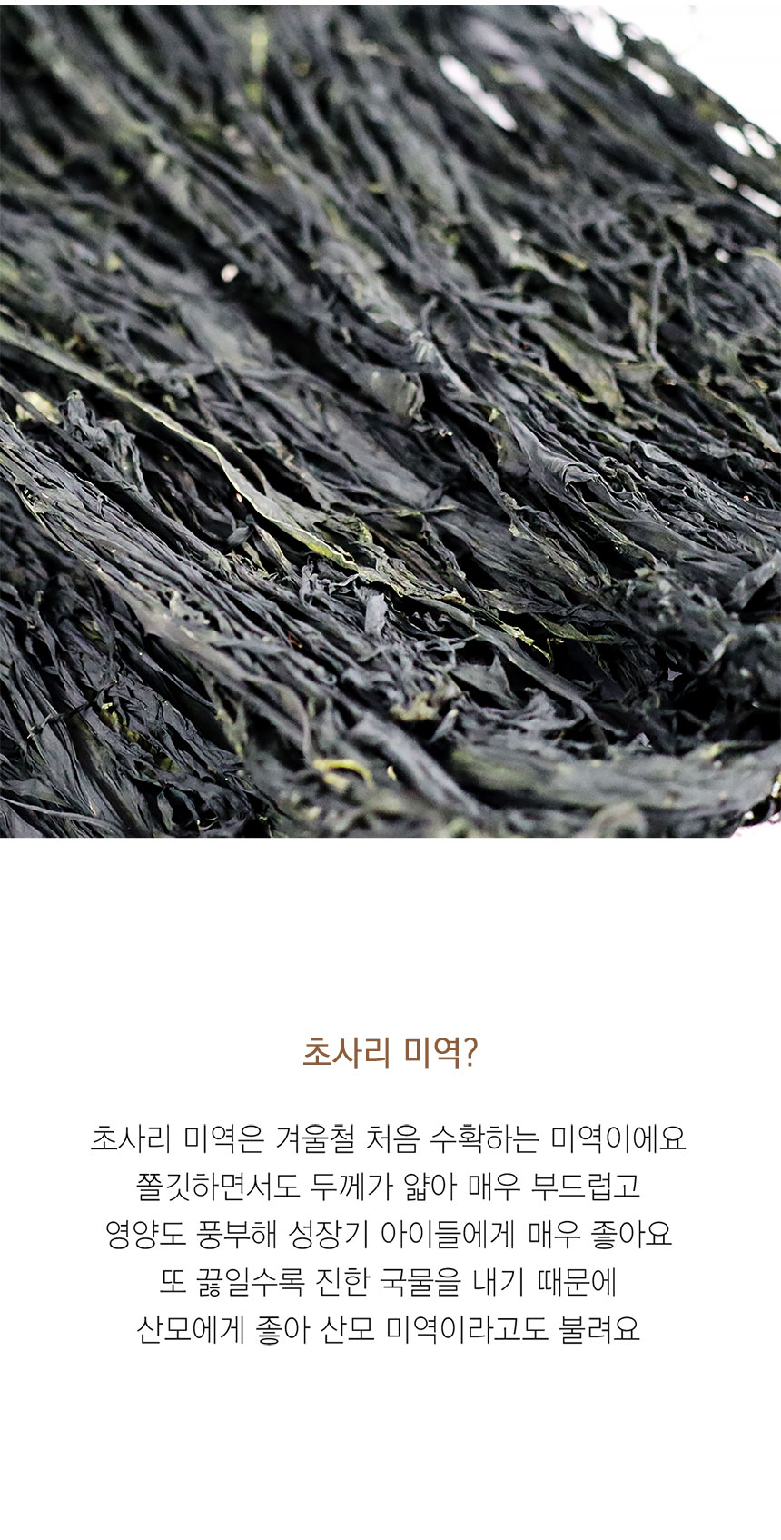 초사리 미역 420g 내외