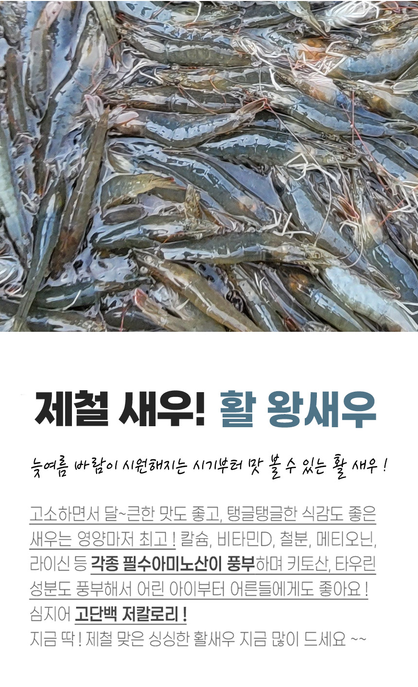 ★단독★국산 제철 활 흰다리새우 1kg 32-34미 내외 대하