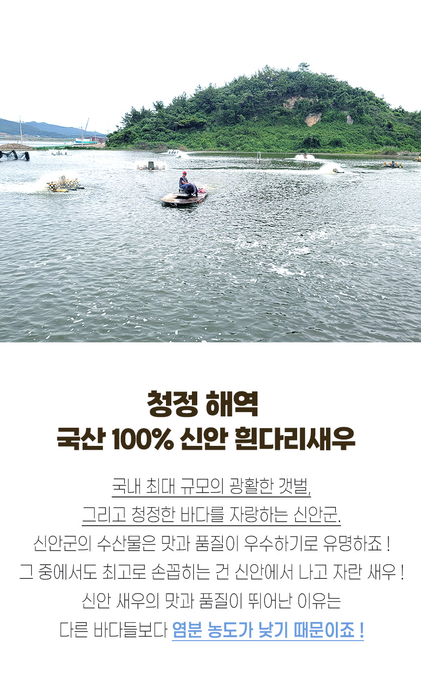 ★단독★국산 제철 활 흰다리새우 1kg 32-34미 내외 대하