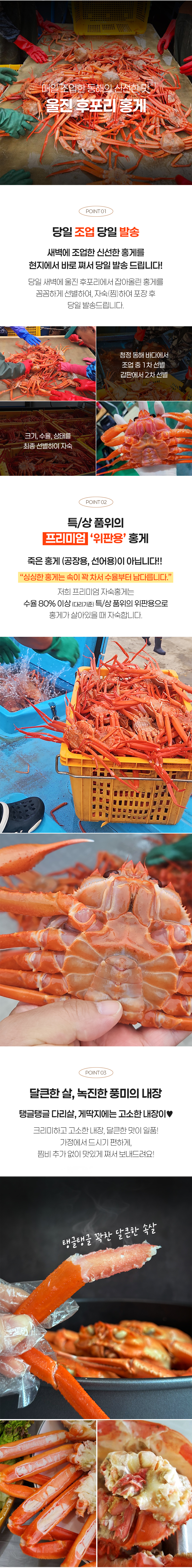  울진 후포리 프리미엄 자숙홍게 3kg내외(8-11미) ,1.5kg내외(4-6미) ,육수용 3kg 