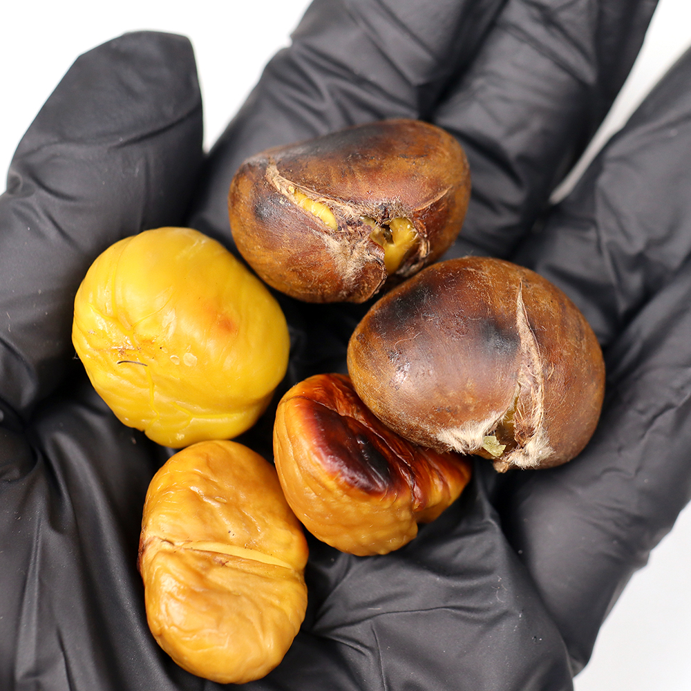 칼집 약단밤 500g/1kg 까먹기 쉬운 밤