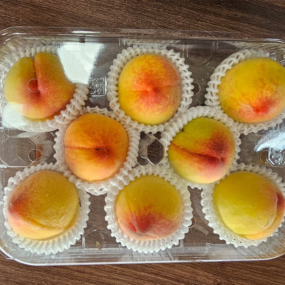 노지 대극천 복숭아 1kg 중소과 (10-16과)