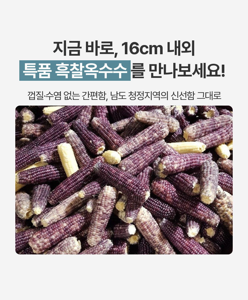  냉동 흑찰옥수수 2팩 (6송이),3팩 (9송이),4팩 (12송이) ,5팩 (15송이),6팩 (18송이),7팩 (21송이) 