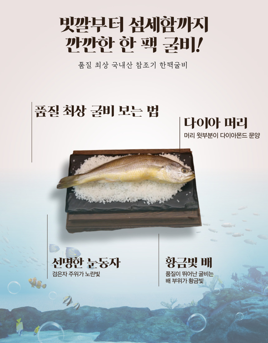 영광 한팩 굴비 1kg x 2팩 (2kg, 팩당 20-22마리)